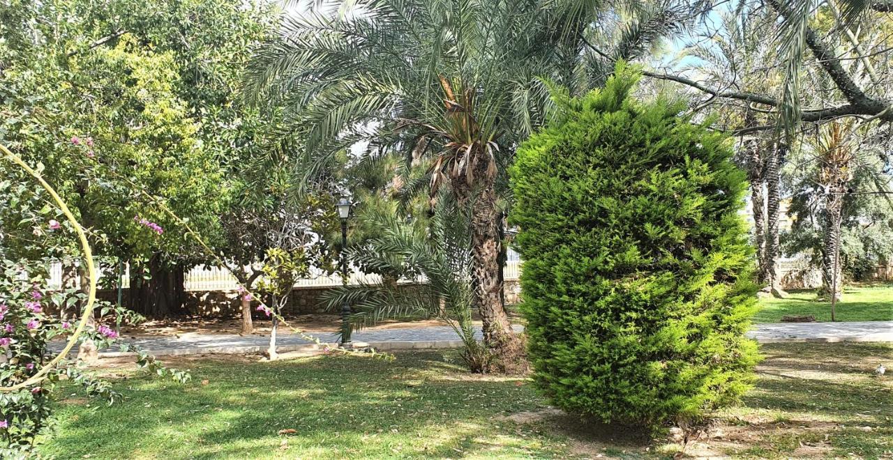 Ecaterina Apartment Torrevieja Zewnętrze zdjęcie