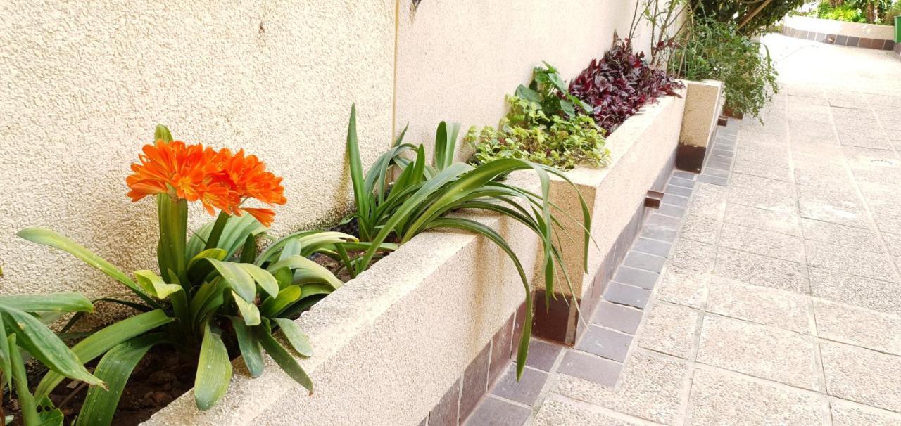 Ecaterina Apartment Torrevieja Zewnętrze zdjęcie
